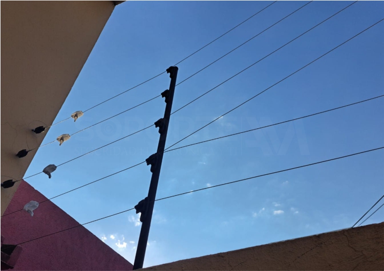 seguridad perimetral 6